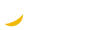 BscScan logo